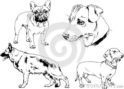 Vector drawings sketches pedigree dogs and cats drawn in ink by hand Vector Illustration